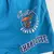 Shorts NBA Charlotte Hornets | Azul na internet