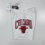 Shorts NBA Chicago Bulls Nike Series | Branco na internet