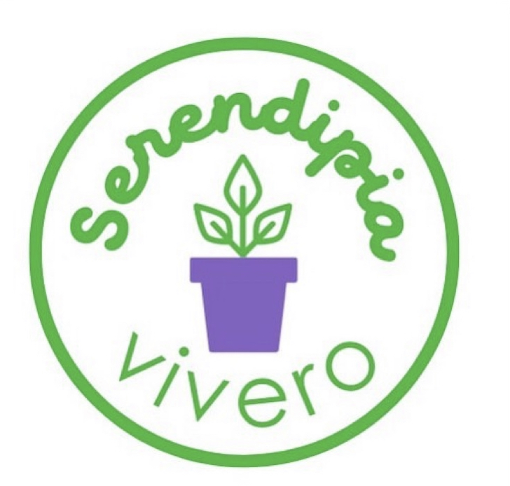 Serendipia
