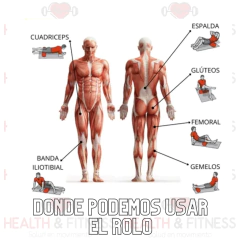 Rolo/Rodillo Masajeador Muscular 33cm - Health & Fitness