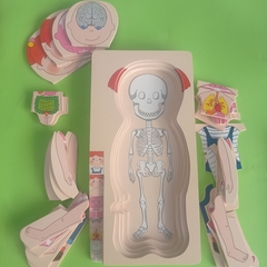 ENCASTRE ROMPECABEZAS CUERPO HUMANO (MULTICAPAS) en internet