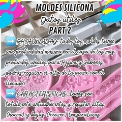 MOLDE SILICONA CACTUS 3D en internet
