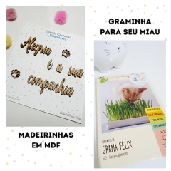 BOX COM PAPEIS E ACESSÓRIOS DA COLEÇÃO MIAU MIAU - CAMILA CAMARGO - VIDA A DENTRO - loja online