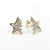 aros half star