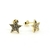 aros mini sparkling star - muse jewels