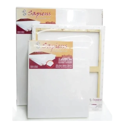 Bastidores Sapiens Pack X3 60x80