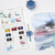 Set 14 Acuarelas Cotman Winsor & Newton Pastillas Compacto - El Poli Sitio Oficial