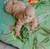 Playmat Bolso - tienda online