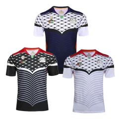 Imagem do Camisa de Futebol da Seleção Palestina