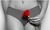 LINEA INTIMA