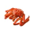 CENTOLHA (KING CRAB) INT COZ 2200/2400 IMP CONG