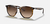 RB 4306 Hexagonal - Gafas Premium