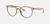 RB 4305 Erika Highstreet Armazon Optical