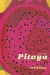 Pitaya - Isabel Costa