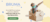 Carrusel Bruma online