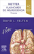 Netter - Flashcards de Neurociencia - 4ta ed - Felten, D.