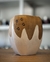 ALGARROBO ARTESANAL