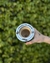 MATE COLAPINTO en internet