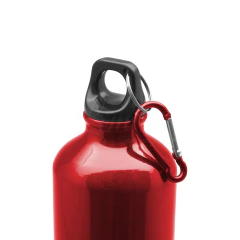 BOTELLA REX en internet