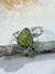 Anel peridoto nature prata 925 - loja online