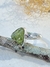 Anel peridoto nature prata 925 - comprar online