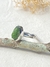 Anel peridoto nature prata 925 - loja online