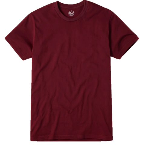 Remera Bordo lisa - comprar online