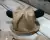 Conjunto Temático Safari Mickey - Magic Zoo