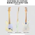 Imagem do Guitarra Sx Stratocaster Sst57 Vintage VWH + Bag Original