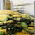Libro Tea Classified Jane Pettigrew & Bruce Richardson ( idioma Ingles) - Tea Depository