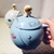 Taza Nasa
