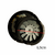 Motor doble turbo agua y polvo 1200w 2 rulemanes (803) - tienda online