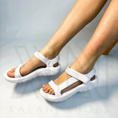 TEVA BLANCO en internet