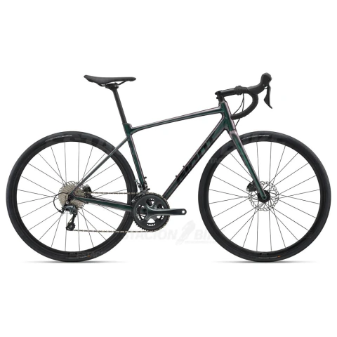 Giant Contend AR 2 2025