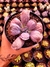 Echeveria Gibiflora Linguas na internet