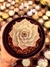 Echeveria Pink Tips - comprar online