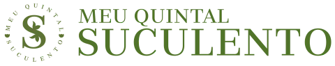 Meu Quintal Suculento