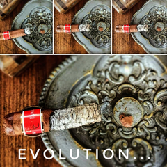 HABANOS - PUROS - CIGARROS - CIGARS - PUROS ARGENTINOS