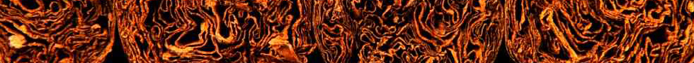 Banner Puros Don Evaristo