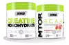 Combo recuperacion Star Nutrition Creatina X300 Gr pote + Mtor Bcaa X 270gr - comprar online