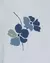 KIT 4 BODY CARTER´S AZUL FLORAL N6 - comprar online