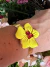 conj bracelete e brinco flor Nicole amarelo lima na internet