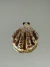 Broche dourado concha com detalhe strass