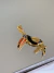 Pingente dourado da linha de montagem tucano verniz italiano