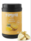 Anana Liofilizada Premium Pote x 100 grs