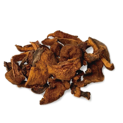 HONGOS SECOS Chile X 1 KG.