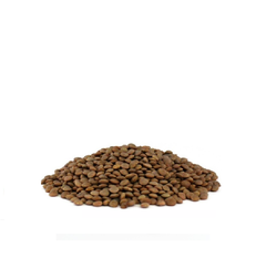 LENTEJAS X 5 KG