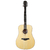 Guitarra Acústica Palmer PD46