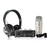 Combo Behringer UM2 - comprar online