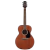 Electroacústica TAKAMINE GX11MENS